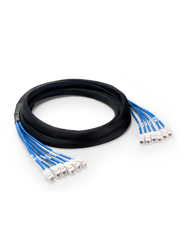 Cat5e Jack to Jack UTP PVC CMR Pre-Terminated Copper Trunk Cable