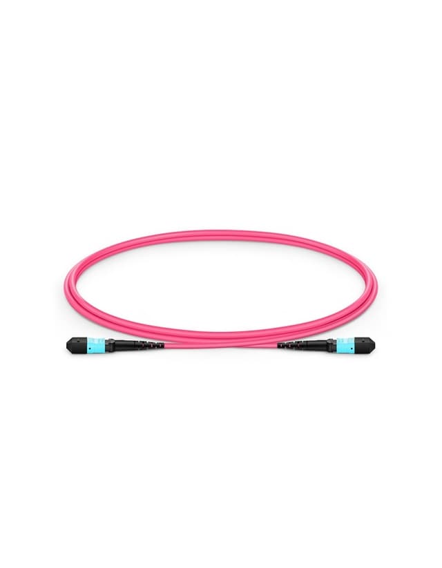 MTP to MTP Female, OM4 OFNP Type B, 12 Fibers Elite Trunk Cable, 1m