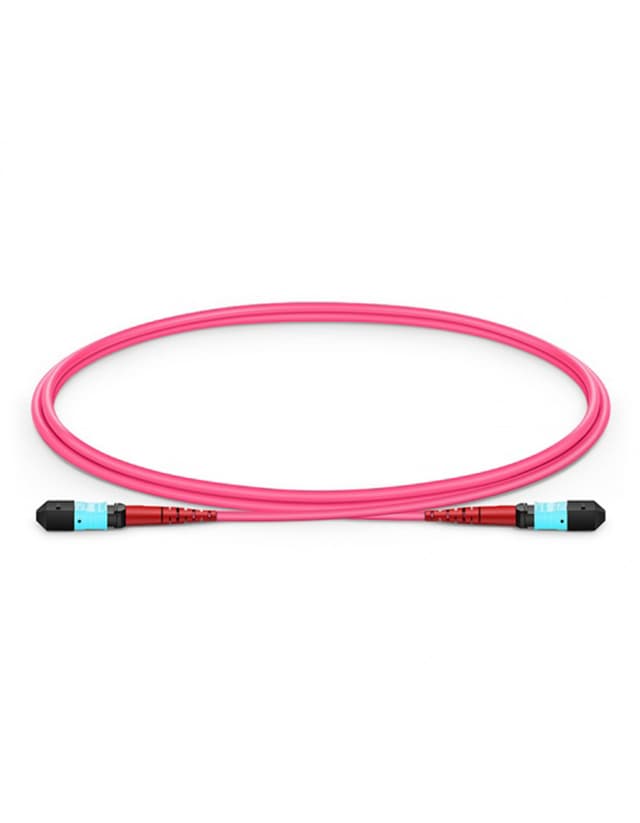 MTP to MTP Female, OM4 OFNP Type A, 24 Fibers Elite Trunk Cable, 1m